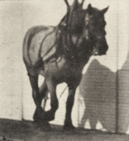 Plate 564 'Dusel' hauling, broken log chain — figure reference